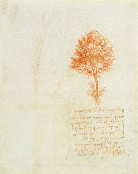 Leonardo Da Vinci Vinci Amboise Recto A Stand Of Trees Verso