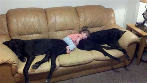 22 Little Kids And Their Big Dogs Bored Panda