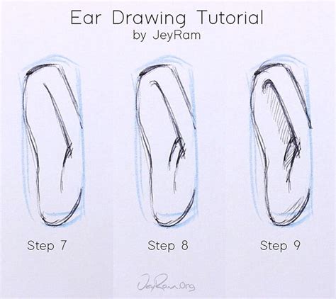How To Draw The Ear From The Front Step By Step Tutorial For Beginners
