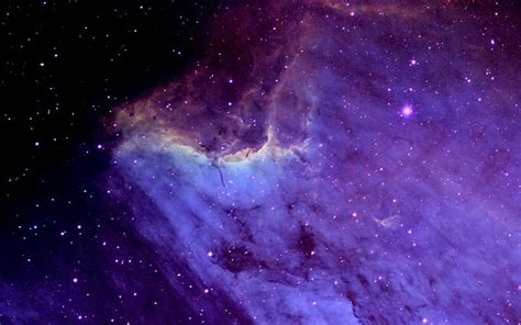 Hd Wallpaper Pelican Nebula 4k Purple And Black Galaxy