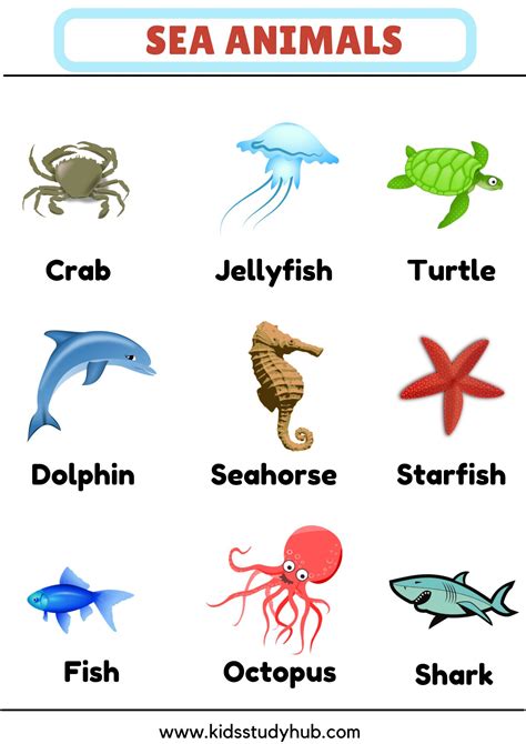 Sea Animals Chart And Worksheets