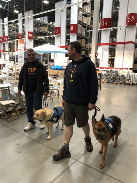 Gallery - Paws Fur Thought