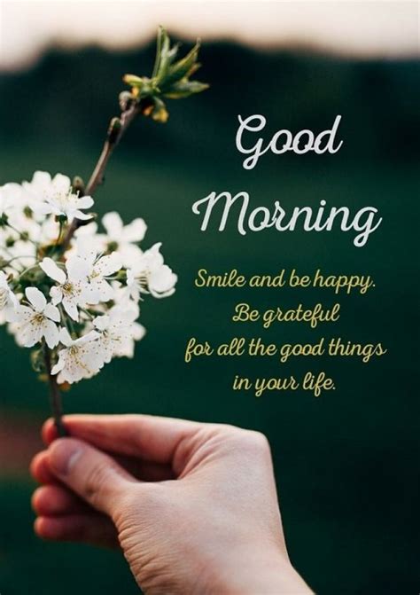 Good Morning Messages Greetings Wishes And Quotes