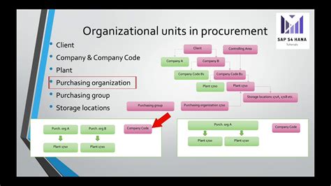 SAP MM S4 HANA Procurement Organizational Units In Procurement YouTube