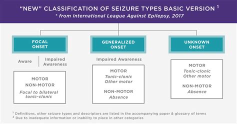 Types Of Seizures Electroneurodiagnostics