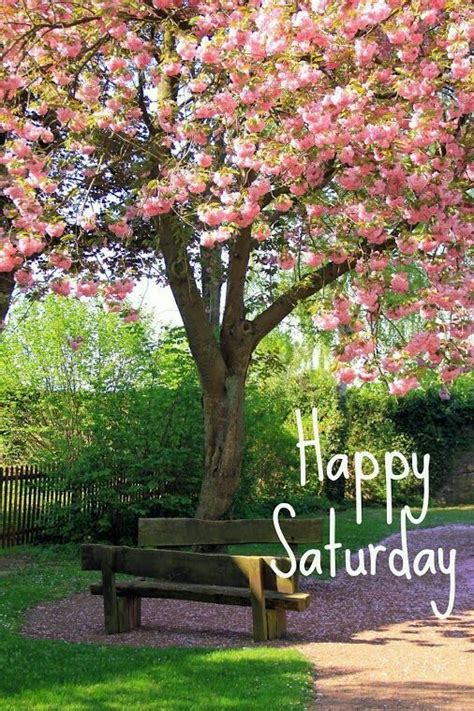 Saturday In Spring Saturday Quotes Funny Happy Saturday Pictures