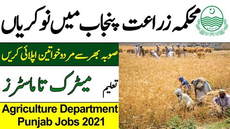 Agriculture Department Punjab Jobs 2021 Agriculture Jobs In Punjab
