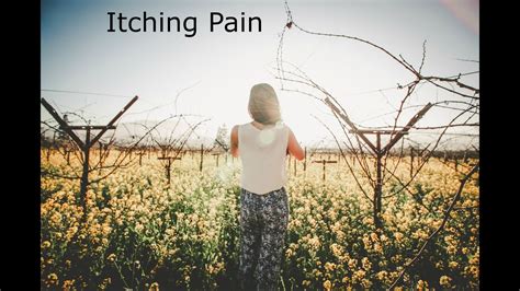 Raleigh Acupuncture Best Treatment For Itching Pain Youtube