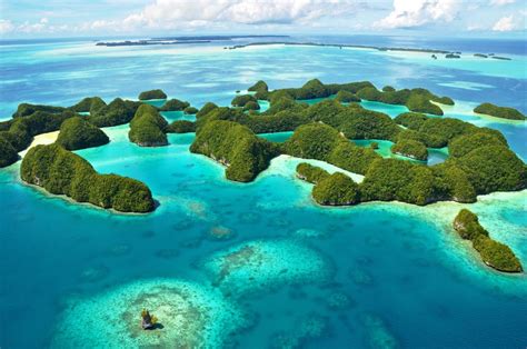 Micronesia Views Marine Sanctuaries In Palau Boomers Daily