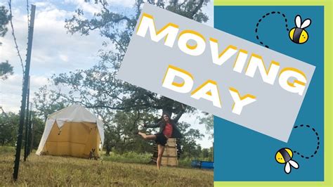 Its Moving Day Youtube