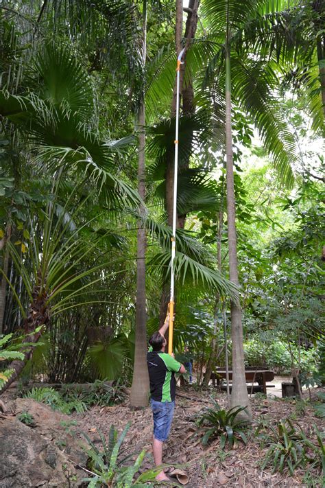 Please take a moment to more thoroughly review our disclaimer. Telescopic pole saw - Silky Hayate 7.7m