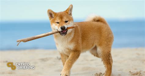 Hello and welcome back to the defi pub!*** click the link below to join the biggest ico of 2021! Slim Jim Celebrates "Doge Day" With Shiba Inu NFT ...