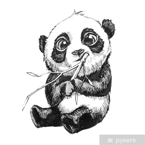 Fotomural Lindo Adorable Bebé Oso Panda Ilustración Dibujado A Mano