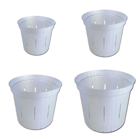 Growers Assortment Of White Pearl Slotted Orchid Pots