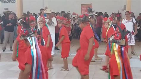 Danza Regional Los Gallitos De San Miguel Totolapan Youtube