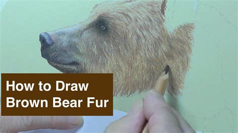 How To Draw Bear Fur Youtube