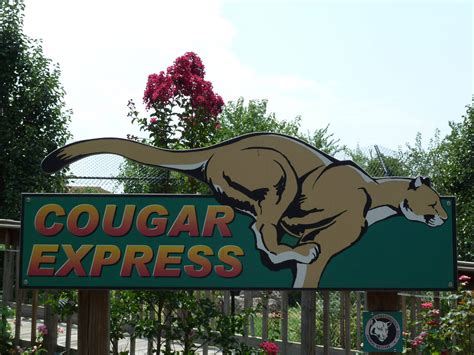 Cougar Exhibit Sign Zoochat