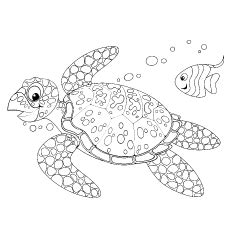 top   printable cute sea turtle coloring pages