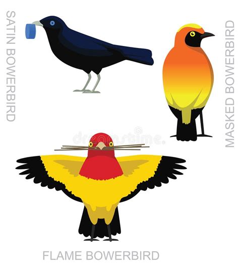 Vector De Dibujos Animados De Juego De Aves Adorables Ilustración Del