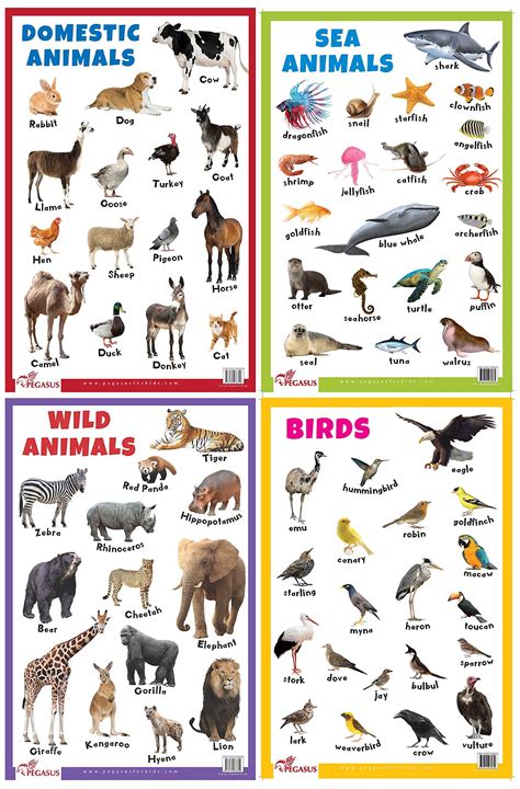 Jasart Kids Wall Chart Domestic Animals Animal