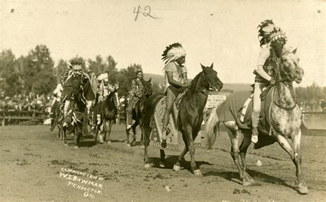 cayuse tribes world beating ponies    rare offbeat oregon history orhistory