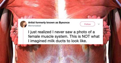 This Viral Photo Of A Woman S Milk Ducts Is Shocking If Not Entirely