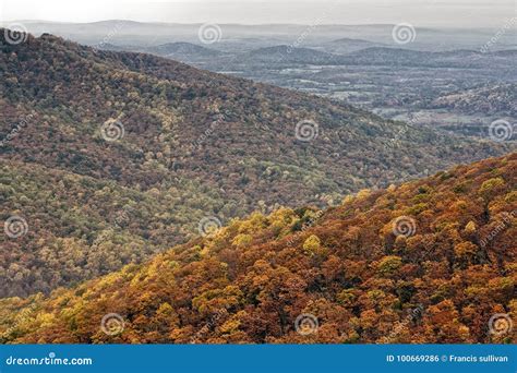 Colorful Autumn Foliage In Rolling Hills Of Shenandoah Stock Photo