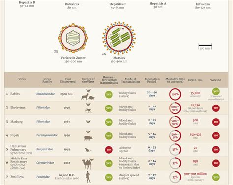 History Of Deadliest Viruses Infographic Best Infographics