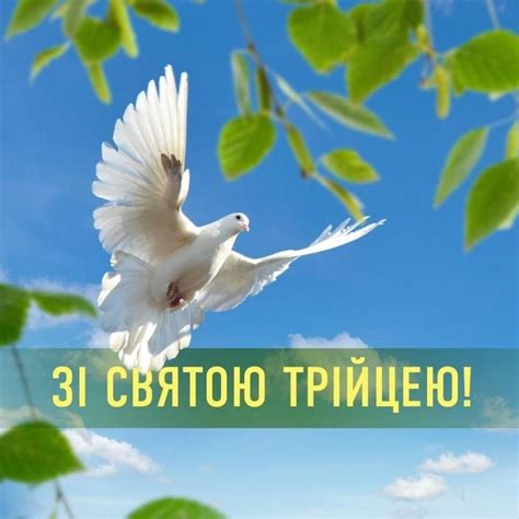 Бажаю, щоб небесні хранителі завжди були за спиною. Привітання голови ОДА Олексія Петрова зі святом Святої ...