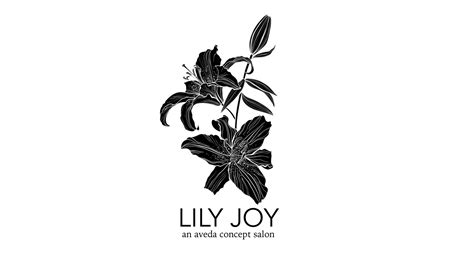 Aveda Salon Lily Joy Goodyear AZ