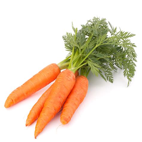 Buy Carrots Premium Per Kg Sunfresh Riverland
