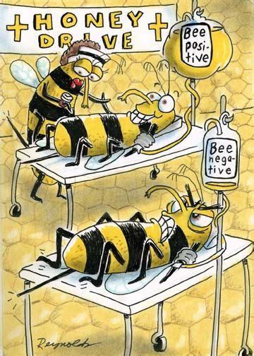 This May Sting A Little Are You Bee Positive Or Bee Negative Honey