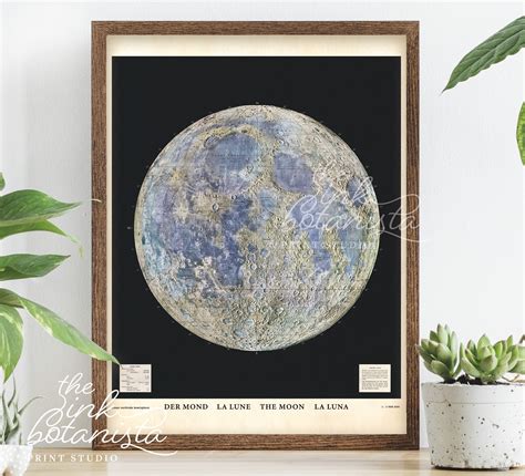 Vintage Moon Print Full Moon Poster Astrology Poster Study Etsy