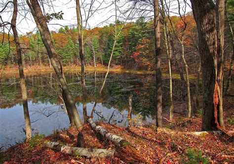 Saratoga Woods And Waterways Autumns Embers