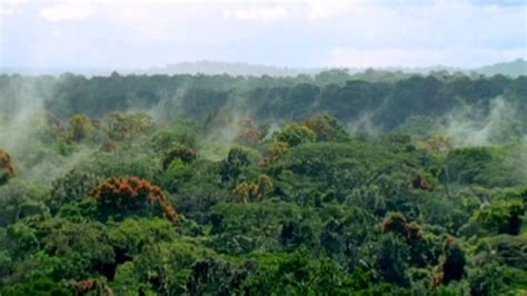 Tropical rainforest locations tropical rainforests are responsible for regulating rainfall. BBC Two - Bitesize Secondary, Geography, Images of a ...