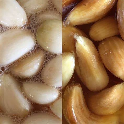 Honey Fermented Garlic And Fresh Honey Garlic Mash The Kitchen Apothecary