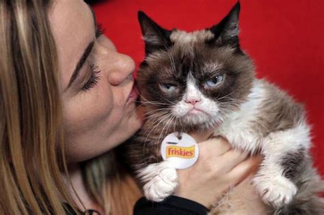 Grumpy Cat Owner Awarded Over 700000 In Lawsuit Cat Still Wont Smile