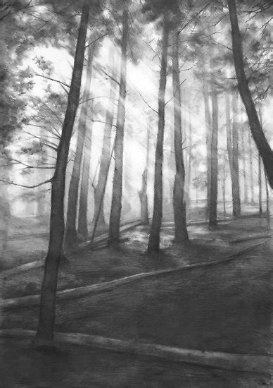 Pencil Drawing Of A Forest At Explore Collection