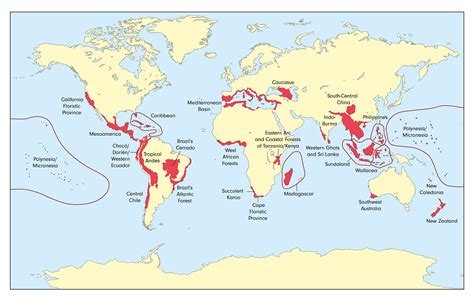 Biodiversity Hotspots World Map