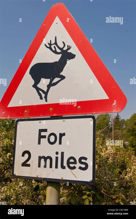 Road Signs Uk High Resolution Stock Photography And Images Alamy