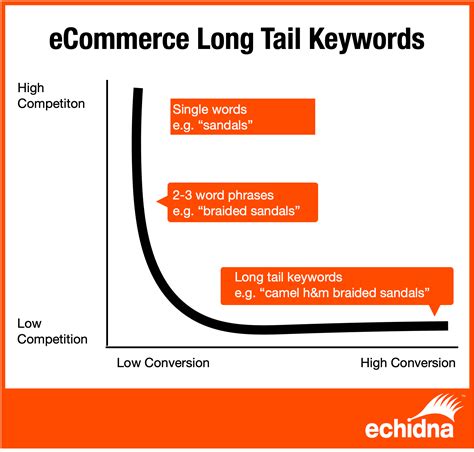 Echidna Execute A Successful Ecommerce Strategy