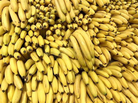 Many Fresh Yellow Bananas In Supermarket Food Concept Stock Photo