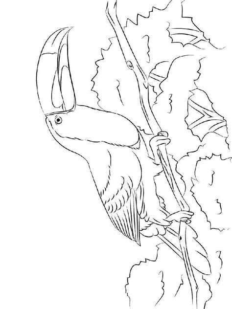 Color our free unicorn coloring page which is also a toucan coloring page. Toucan coloring pages. Download and print Toucan coloring pages