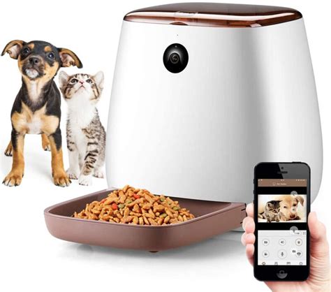 8 Best Automatic Pet Food Dispensers Pawsify