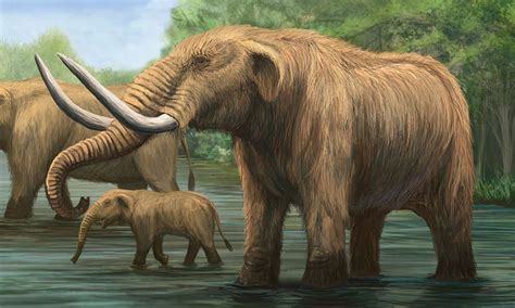 Pin By Elaine Gilbert On Age Of Mammals Prehistoric Wildlife