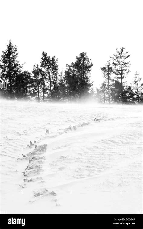 Wind Drift Snow Drift Black And White Stock Photos And Images Alamy