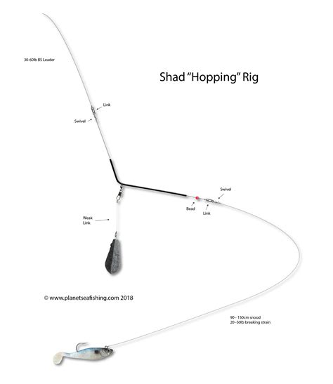 How To Tie A Shad Rig Or Hopping Rig Planet Sea Fishing