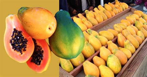 Non Gmo Papayas Tips On How To Choose Non Gmo Papayas