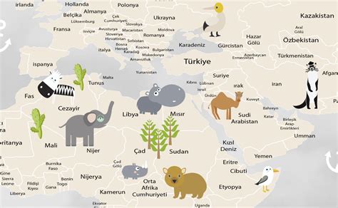 Dünya Haritası ve Canlılar Türkçe Yazılar Eğitici Duvar Kağıdı 202