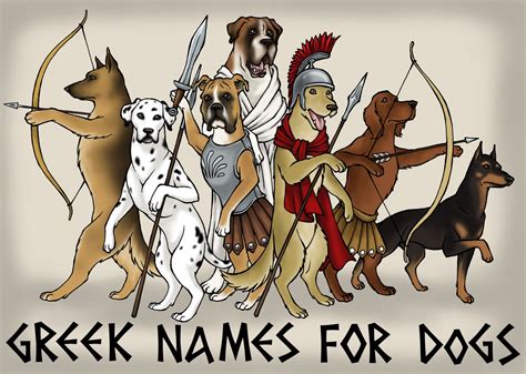 101 Male Greek God Names That Make Cool Dog Names Best Dog Names Dog